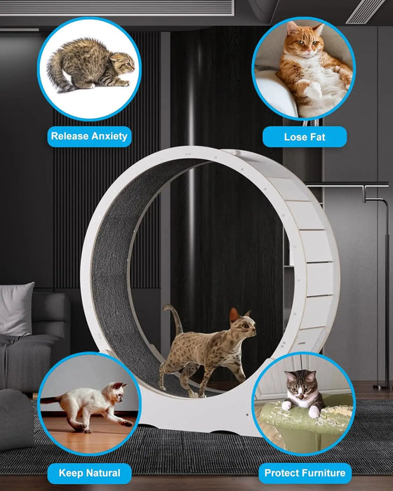 Cat Exercise Wheel Indoor Quiet Treadmill Made of Natural Solid Wood On Sale