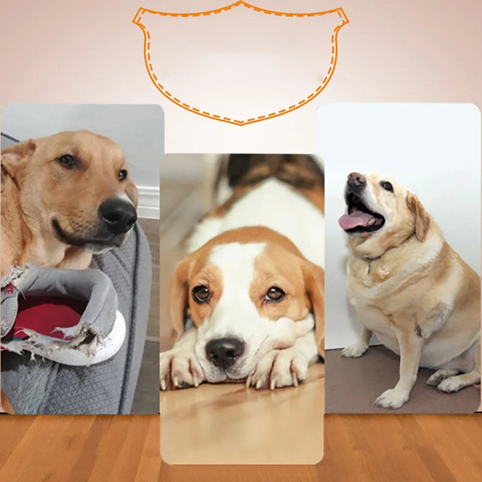 Dog Ball Thrower Toy Automatic Tennis Ball Launcher With 3 Distance Catapult Settings On Sale
