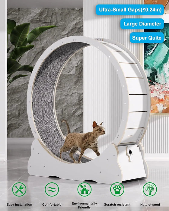 Cat Exercise Wheel Indoor Quiet Treadmill Made of Natural Solid Wood On Sale