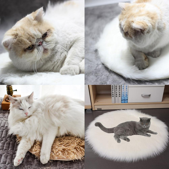 Electric Heating Pad For Pets On Sale
