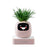 New Pink Smart Indoor Plant Pot with Wi-Fi App Monitoring, LCD Expression Display & USB-C Rechargeable Planter On Sale