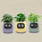 AI Smart Indoor Plant Care Pot Robot On Sale