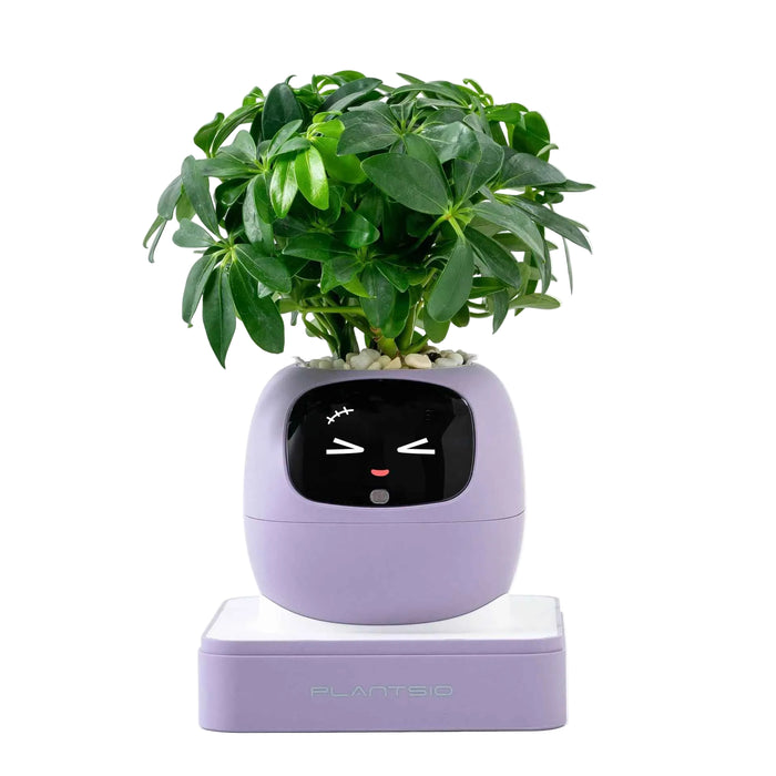 New Purple Smart Indoor Plant Pot with Wi-Fi App Monitoring, LCD Expression Display & USB-C Rechargeable Planter On Sale