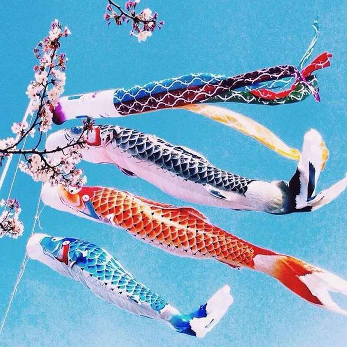 Japanese Koi Koinobori Carp Windsock On Sale
