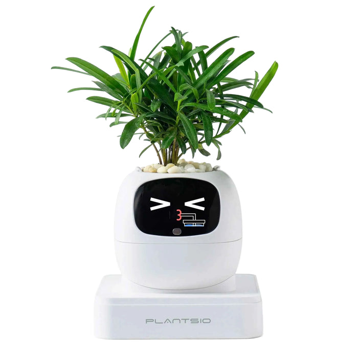 New White Smart Indoor Plant Pot with Wi-Fi App Monitoring, LCD Expression Display & USB-C Rechargeable Planter On Sale