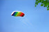 Rainbow Dual Line Stunt Kite On Sale