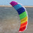 Rainbow Dual Line Stunt Kite On Sale