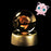 3D Crystal Glass Poke Ball Night Lights Collection Contained Inside Anime Characters - Jiggly puff On Sale