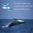 925 Sterling Silver White Gold Plated Glow-in-the-dark Enamel Whale Adjustable Rings On Sale