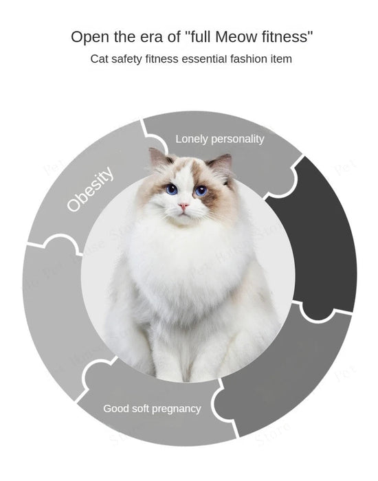 Exercise Wheel Indoor Silent Treadmill Made of Natural Solid Wood For Cats Or Small Dogs On Sale