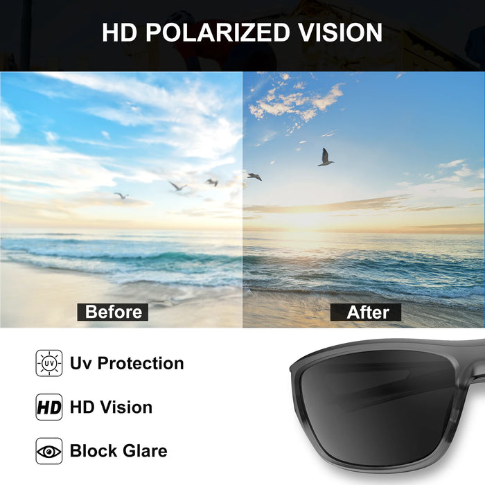 HD Polarized Vision Description