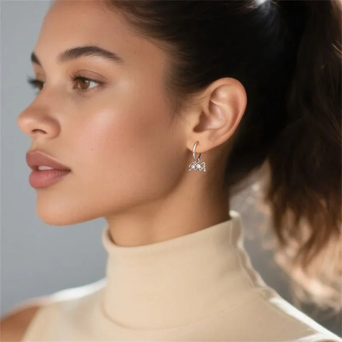 Model 12 Constellation 925 Sterling Silver Aquarius Hoop Earrings Timeless Zodiac Elegance On Sale