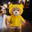 Ted 2 Series Raincoat Teddy Bear Figure Plush Doll Blind Box Collection On 