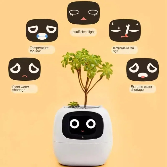 Smart AI Indoor Small Plant Pot Robot On Sale