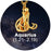 12 Horoscope Aquarius Zodiac 18K Gold Plated 3D Charm Pendant Necklaces On Sale