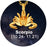 12 Horoscope Scorpio Zodiac 18K Gold Plated 3D Charm Pendant Necklaces On Sale