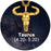12 Horoscope Taurus Zodiac 18K Gold Plated 3D Charm Pendant Necklaces On Sale