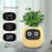 Smart Indoor Plant Pot with Wi-Fi App Monitoring, LCD Expression Display & USB-C Rechargeable Planter On Sale