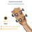 21/ 23/ 26 Inches Lightweight Sapele Ukulele Starter Kit With Carbon Strings And Rosewood Body, And Bag, Winder And Capo On Sale