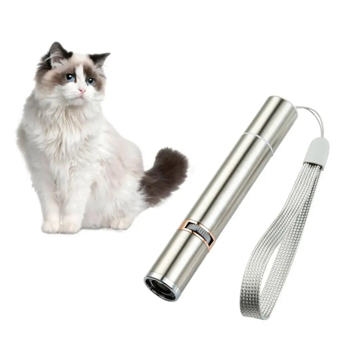 USB Rechargeable LED Cat Laser Pointer On Sale