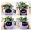 Smart AI Indoor Small Plant Pot Robot On Sale