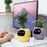 Smart Indoor Plant Pot with Wi-Fi App Monitoring, LCD Expression Display & USB-C Rechargeable Planter On Sale
