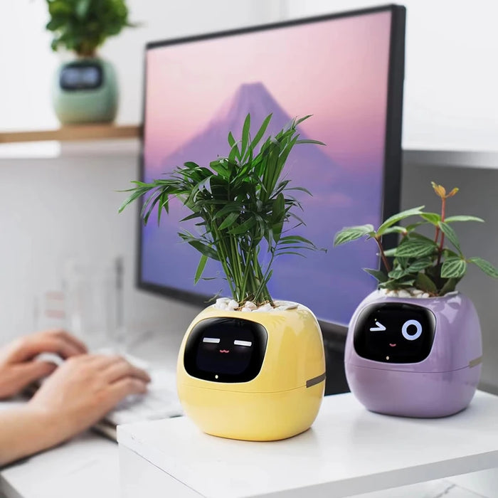 Smart Indoor Plant Pot with Wi-Fi App Monitoring, LCD Expression Display & USB-C Rechargeable Planter On Sale