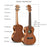 Product Information Of Sapele Ukulele