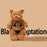 Bartholomew Bear Dolls Soft Teddy Bear Stuffed Animals Plush Toys On Sale