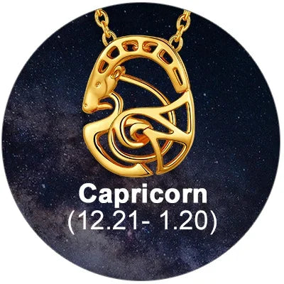 12 Horoscope Capricorn Zodiac 18K Gold Plated 3D Charm Pendant Necklaces On Sale