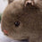 Lifelike Realistic Wombat Stuffed Animal Plush Toy On Sale
