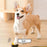 House Pet Training Communication Buzzer Buttons With Playback And 30 Second Voice Recordings On Sale