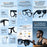 AI Smart Eyewear With Touch Control And Charging Case For Photo, Music, Calls, Hands-free video and Audio Recording On Sale