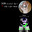 3D Crystal Glass Poke Ball Night Lights Collection Contained Inside Pokemon Characters On Sale
