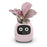Pink Smart AI Indoor Small Plant Pot Robot On Sale