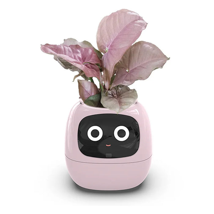 Pink Smart AI Indoor Small Plant Pot Robot On Sale