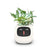 White Smart AI Indoor Small Plant Pot Robot On Sale