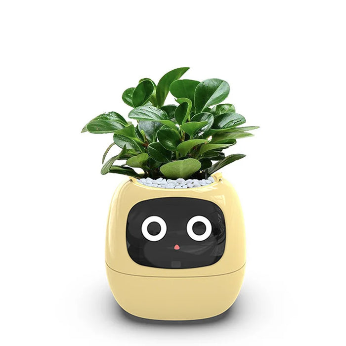 Yellow Smart AI Indoor Small Plant Pot Robot On Sale