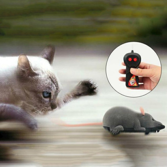 Wireless Remote Control Robot Mouse Toy for Cats, Dogs, And Kids On Sale
