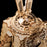Steampunk Rabbit Music Box Puzzle - cloverbliss.com